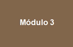 Módulo 3