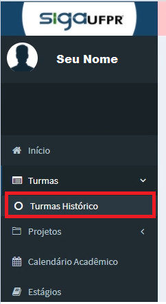 Acessar 'Turmas Histórico'